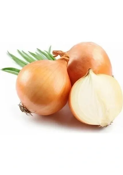 Cebola Orgânica 600g refrig.