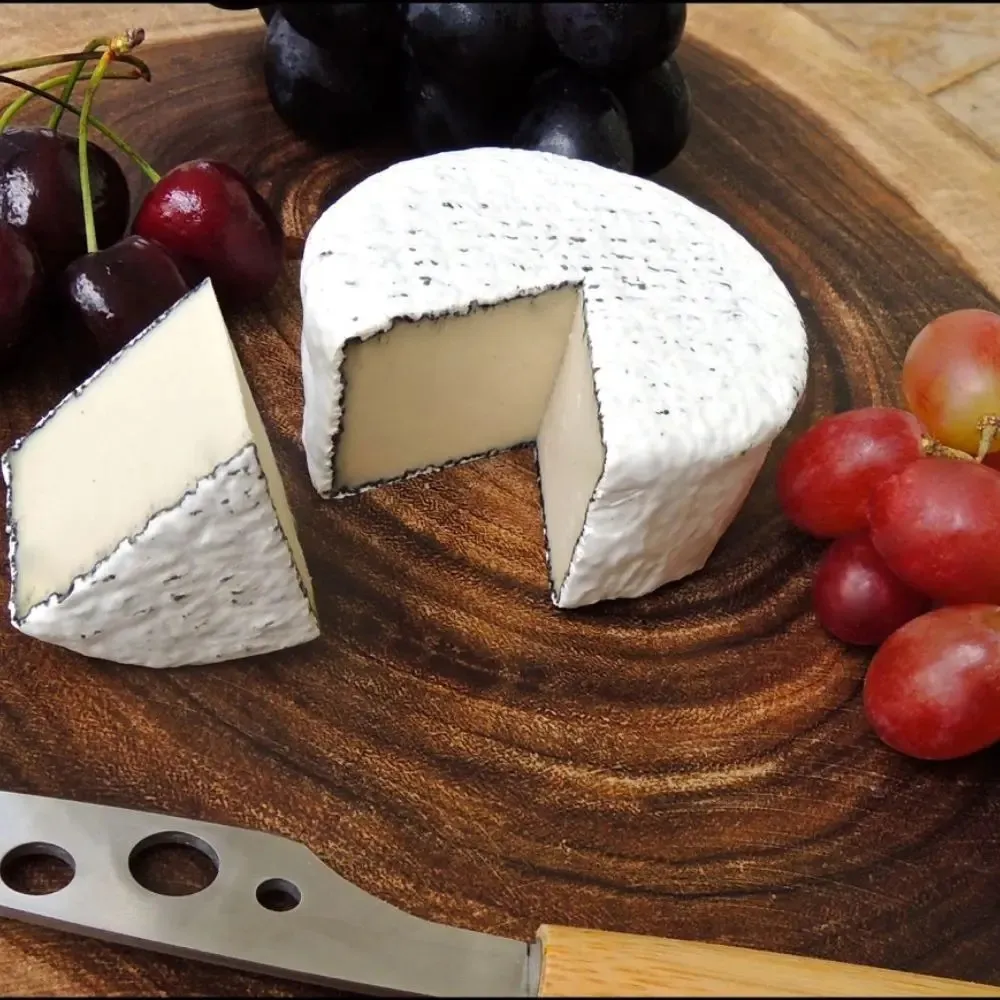 Queijo Vegetal Camembert Trufado Black Ecozy 140g refrig.