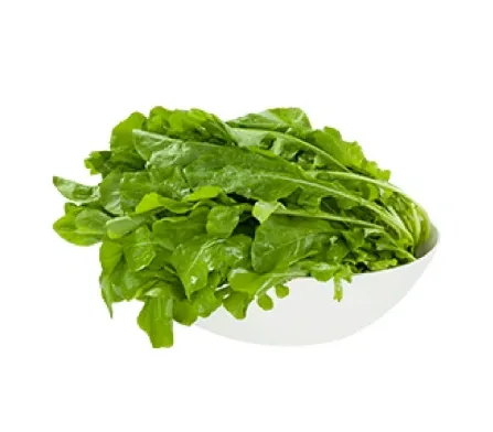 Rucula Orgânica 200g refrig.