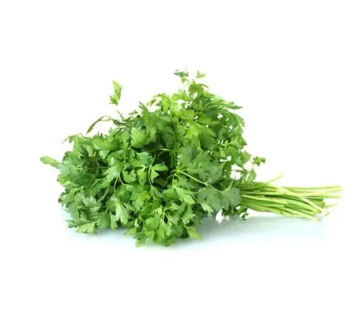 Salsa Orgânica 100g refrig.