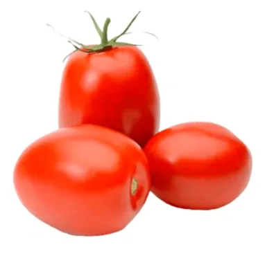 Tomate Italiano Orgânico 500g refrig.