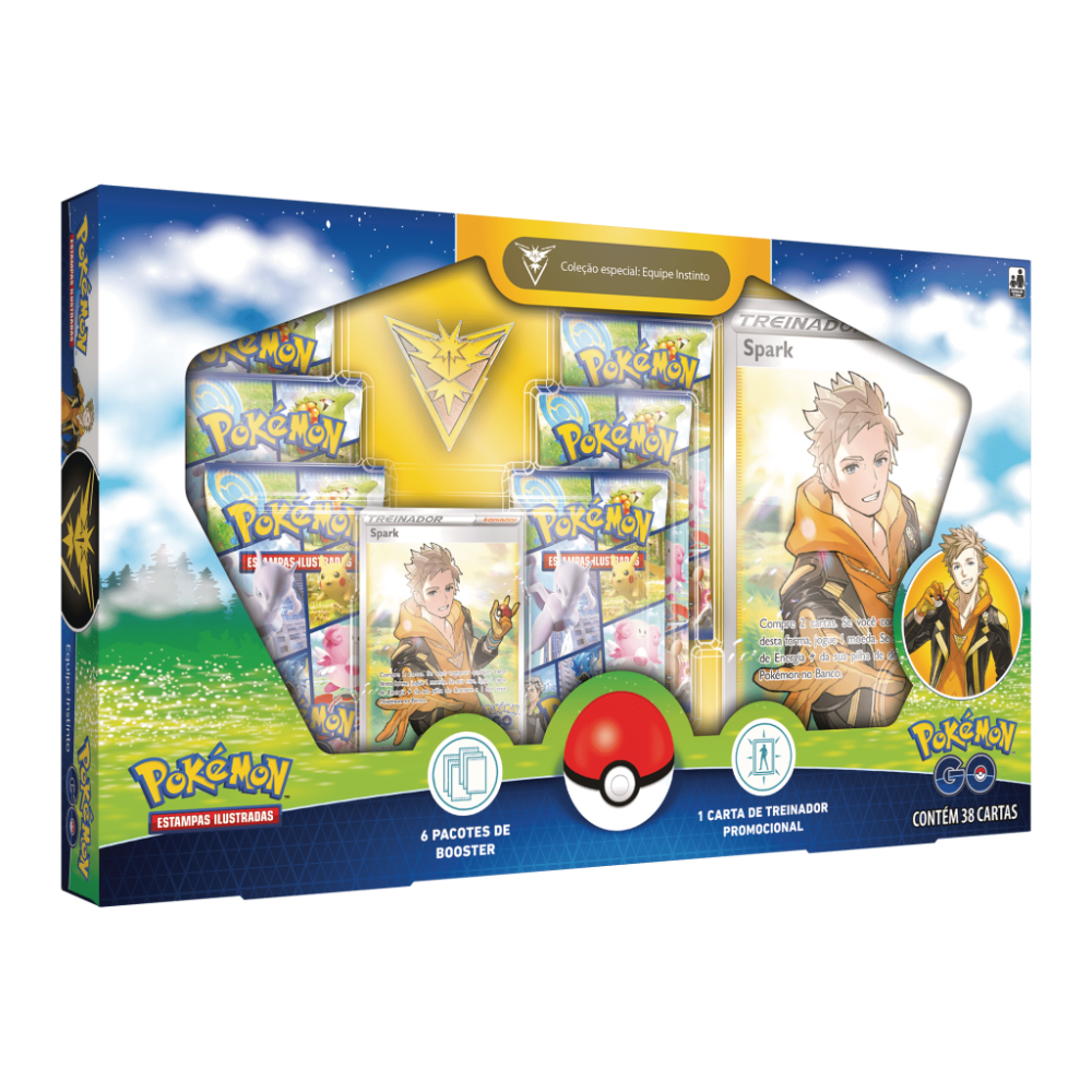 Pokemon Lote de cartões X10 básicos tipo fogo Conjuntos diversos/mesmo  design