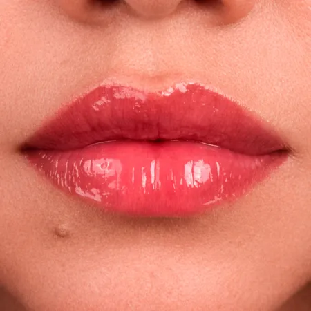 Gloss Lip Maximizer Framboesa- Nina Makeup