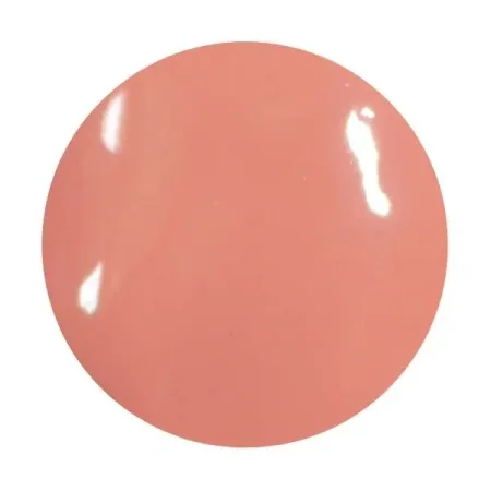 Gloss Verniz Labial Nude Make More