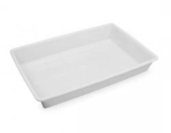 Caixa para Alimentos 60x40x9 cm 17 Litros 523 - Plásvale