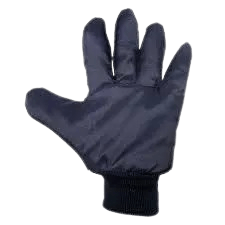 Luva Térmica Azul De Nylon Para Câmara Fria - Use EPI