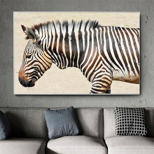 A zebra é um bicho preto com listras brancas ou branco com listras