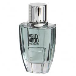 Mighty Mood Linn Young Perfume Masculino EDT 100ml - LInn Young Atacado