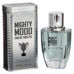 Mighty Mood Linn Young Perfume Masculino EDT 100ml - LInn Young Atacado