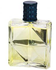 No Ordinary Real Time Perfume Masculino EDT 100ml - Real Time Atacado