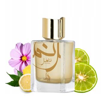 Nimr Al Absar - Perfume Unisex EDP 100ml - Al Absar Atacado