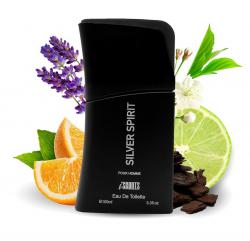 Silver Spirit I-Scents Perfume Masculino EDT 100ml - IScents Atacado