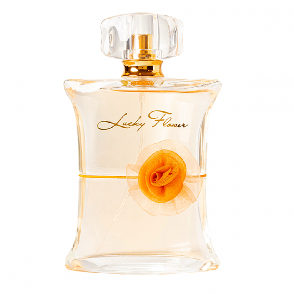 【LUCKY】 Projeto Mv Agusta Lucky Explorer | Tô Na Estrada | Aventuras e