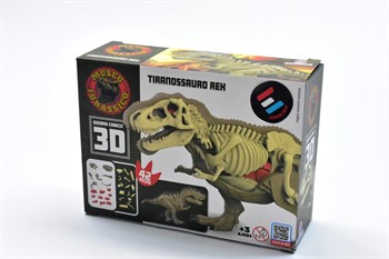 DINOSSAURO DE MONTAR - DINO ANATOMY - TIRANOSSAURO REX