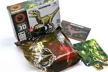 DINOSSAURO DE MONTAR - DINO ANATOMY - VELOCIRAPTOR