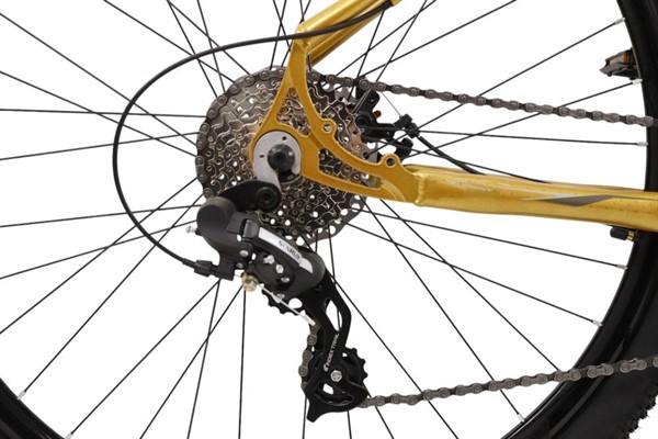Bike Aro 29 Rino Everest XR 8v Sunrun K7 11/32 Roletado :