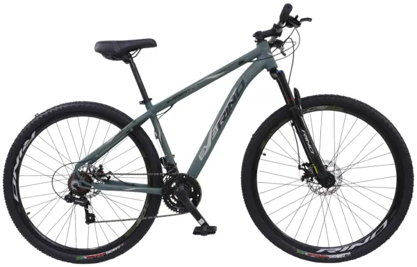 Bicicleta Aro 29 Rino Everest XR 21v Cambios e Pedivela Shimano