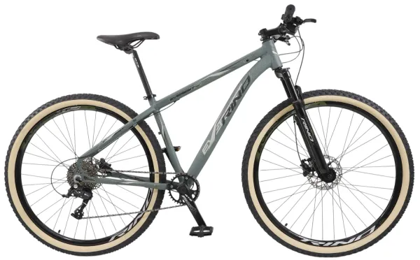 Bicicleta Aro 29 Rino Everest XR Coroa Single 1x9 Hidraulico Trava