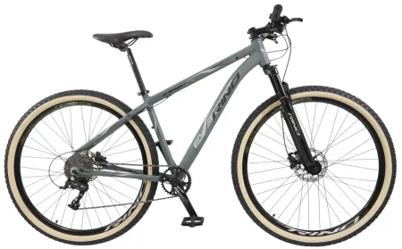 Bicicleta Aro 29 Rino Everest XR Coroa Single 1x9 Hidraulico Trava