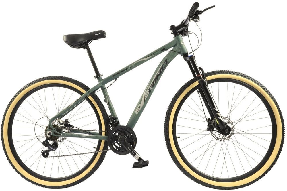 Bicicleta Aro 29 Rino Everest XR - 21 Velocidades