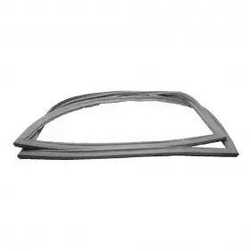 Gaxeta Porta Freezer Electrolux - DF56 DF56S IF55 IF55B | 41043887 | A19090608