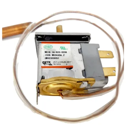 Termostato ACJ CR FOSHAN GW42303051 Springer