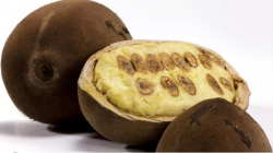 Essência Cupuaçu - 1 kg