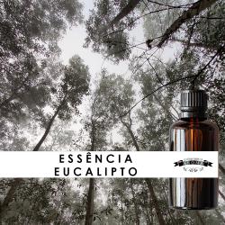 Essência Eucalipto - 500 g