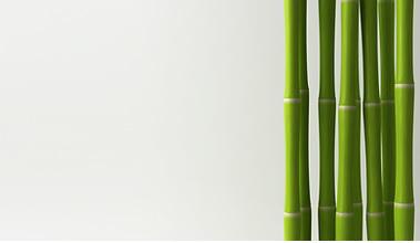 Essência Broto de Bamboo - 100 g