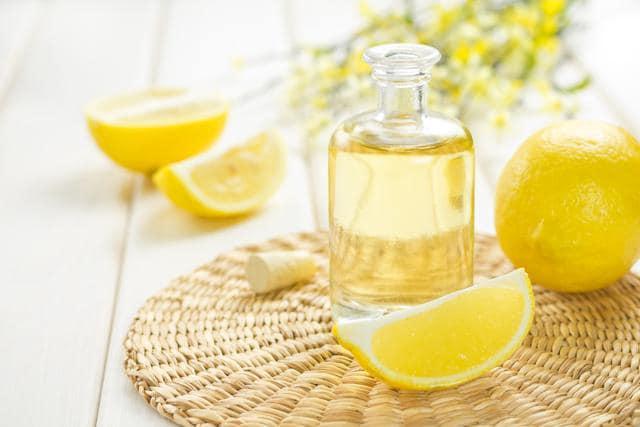 Essência Citric Spring - 500 g