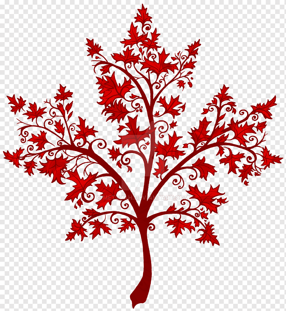 Essência Canadá Tree - 100 g