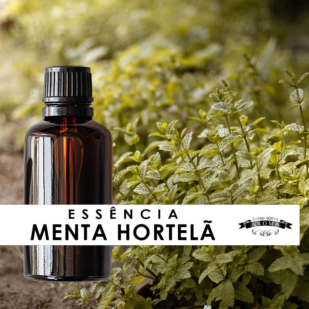 Essência Menta & Hortelã - 1 kg