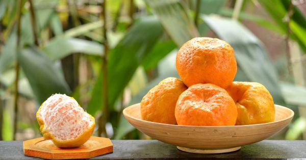 Essência Mandarina - 100 g