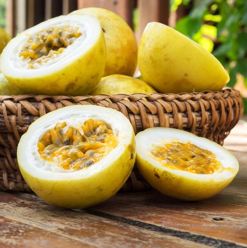 Essência Maracujá Ecko - 200 g
