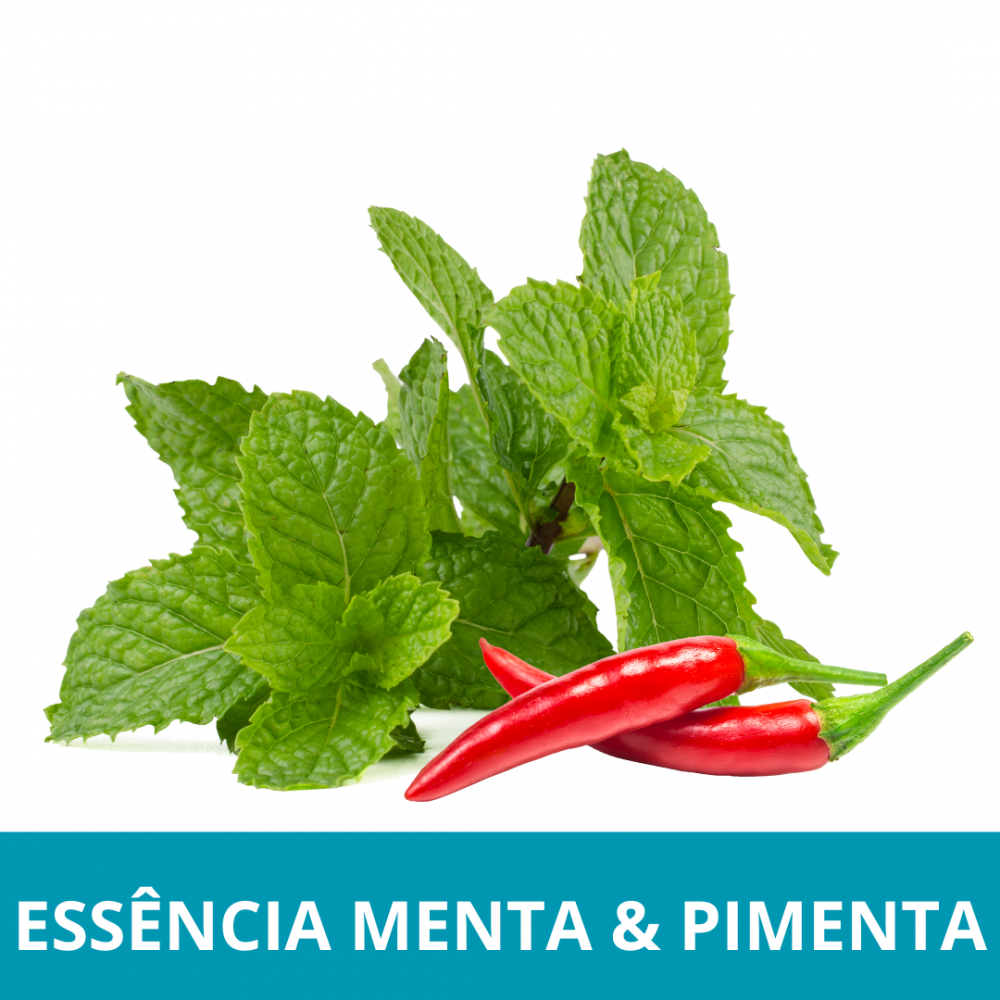 Menta pimenta hot sale calçados