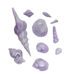 Molde de Silicone Kit Conchas Mod 2 - Cód 450