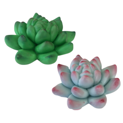 Molde de Silicone Suculenta 3D - Cód 1345
