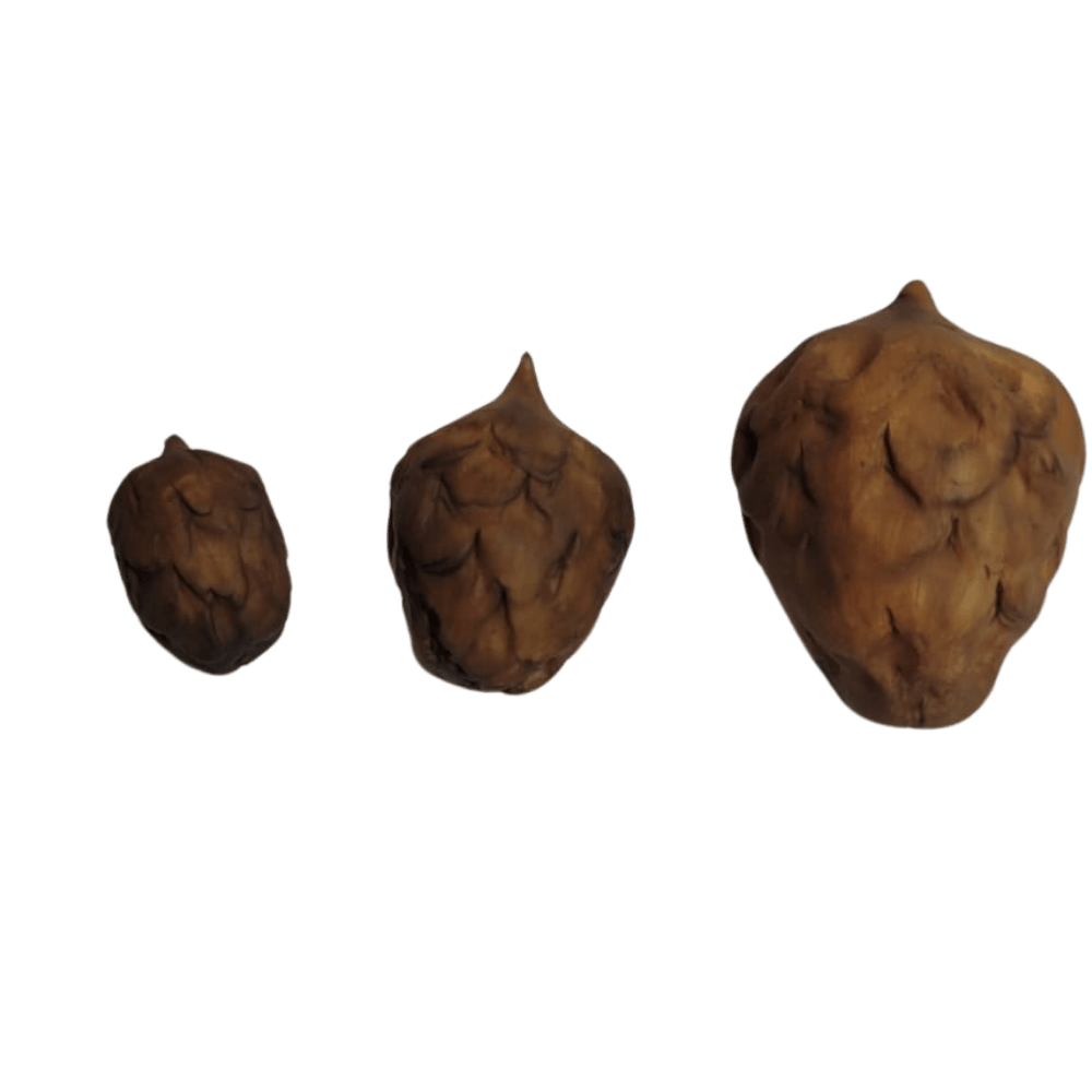 Trio de Pinhas - cód 1611