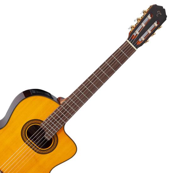 gc6 takamine